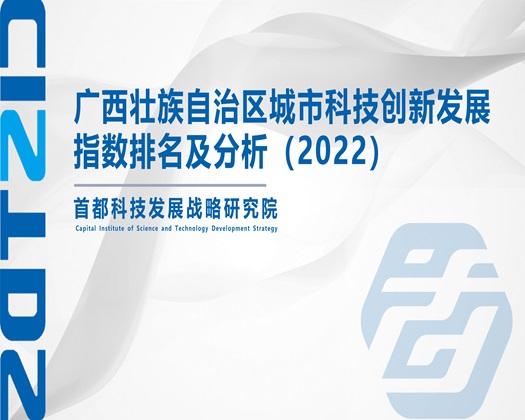 大几吧操嫩逼视频【成果发布】广西壮族自治区城市科技创新发展指数排名及分析（2022）